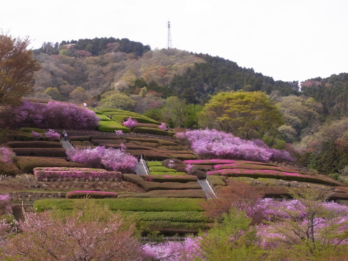 神奈川 県立 あいかわ 公園